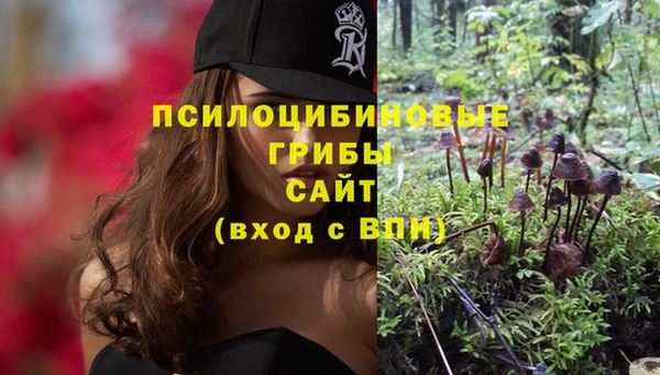 МДПВ Дмитров