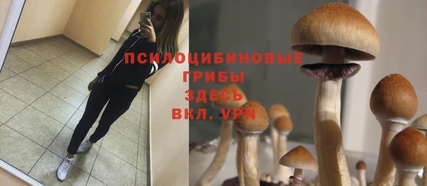наркотики Дмитриев