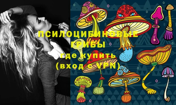 МДПВ Дмитров