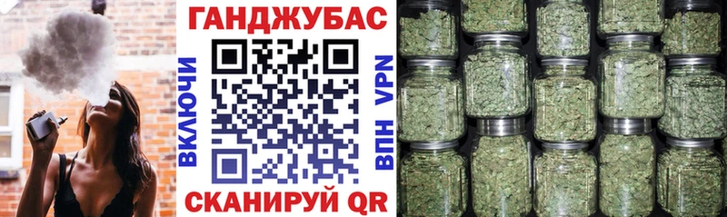 Канабис сатива  Заволжье 